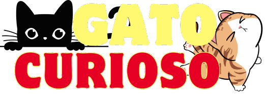 Gato Curioso